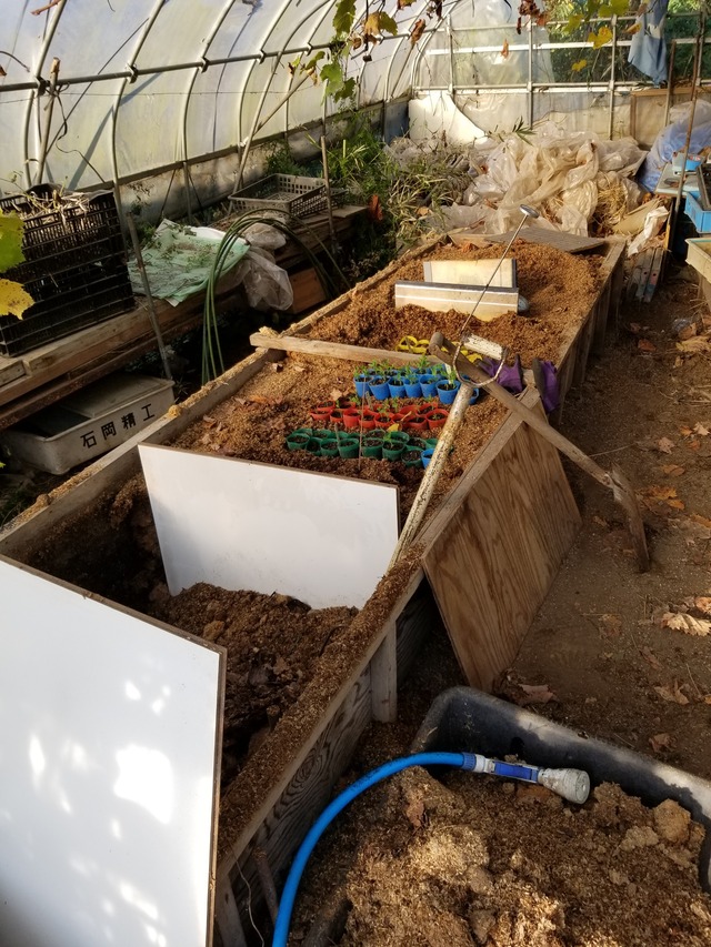 20201116_080458_copy_2268x3024