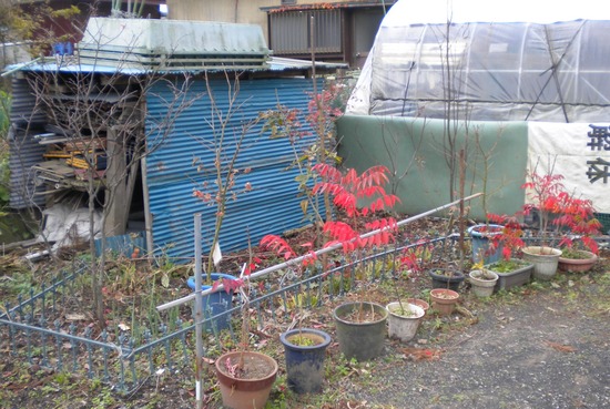 エクスブロラーエラー