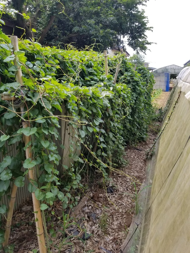 20230719_092825_copy_1512x2016