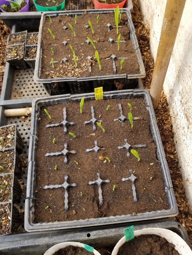 20230331_090827_copy_1512x2016