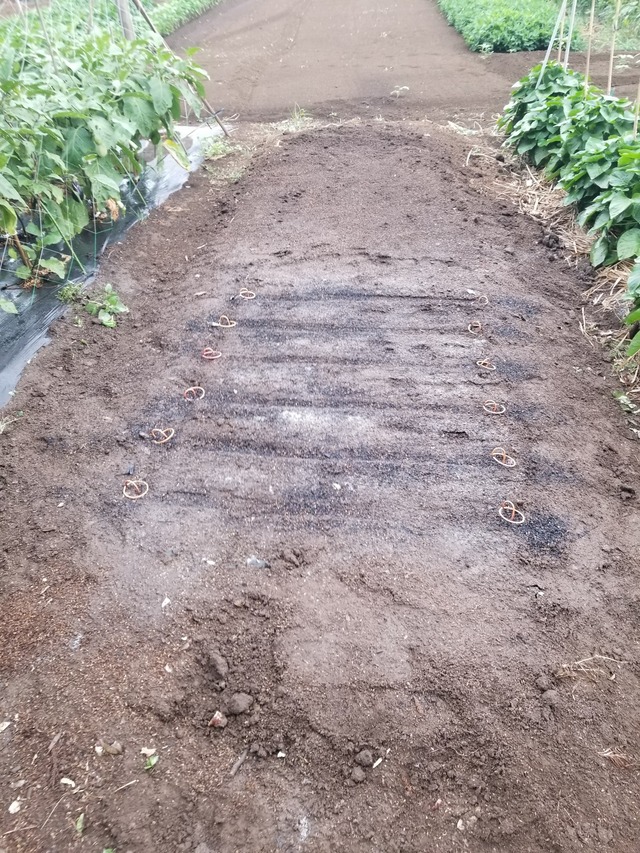 20230801_150230_copy_1512x2016