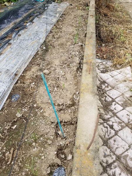 20190905_084833-1620x2160