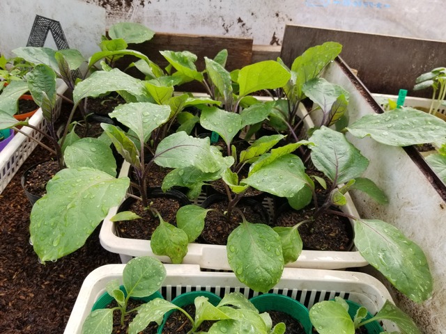 20230416_134837_copy_2016x1512