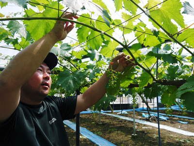 o0400030014530143464