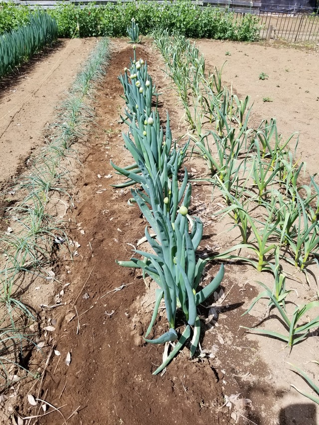 20230331_111005_copy_1512x2016