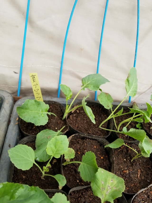 20210906_091031_copy_2268x3024