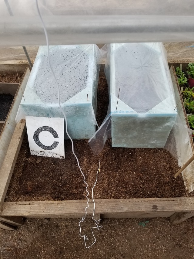 20220322_080715_copy_2268x3024