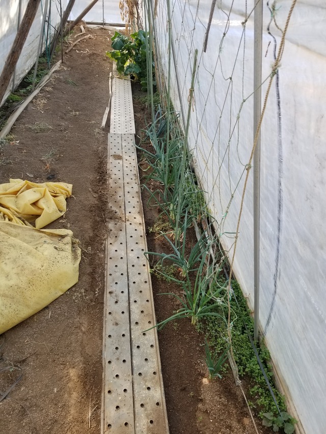 20240212_092202_copy_2268x3024