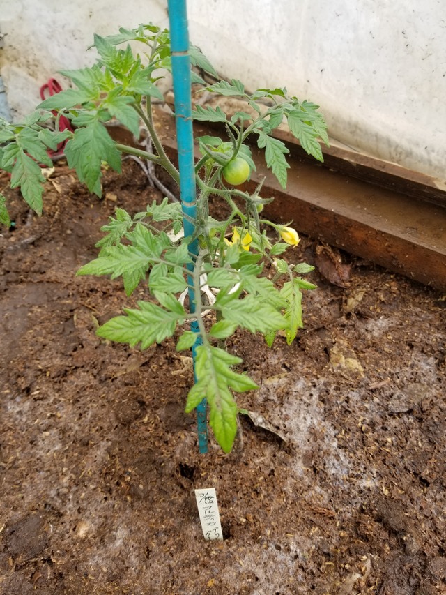 20210425_084553_copy_2268x3024