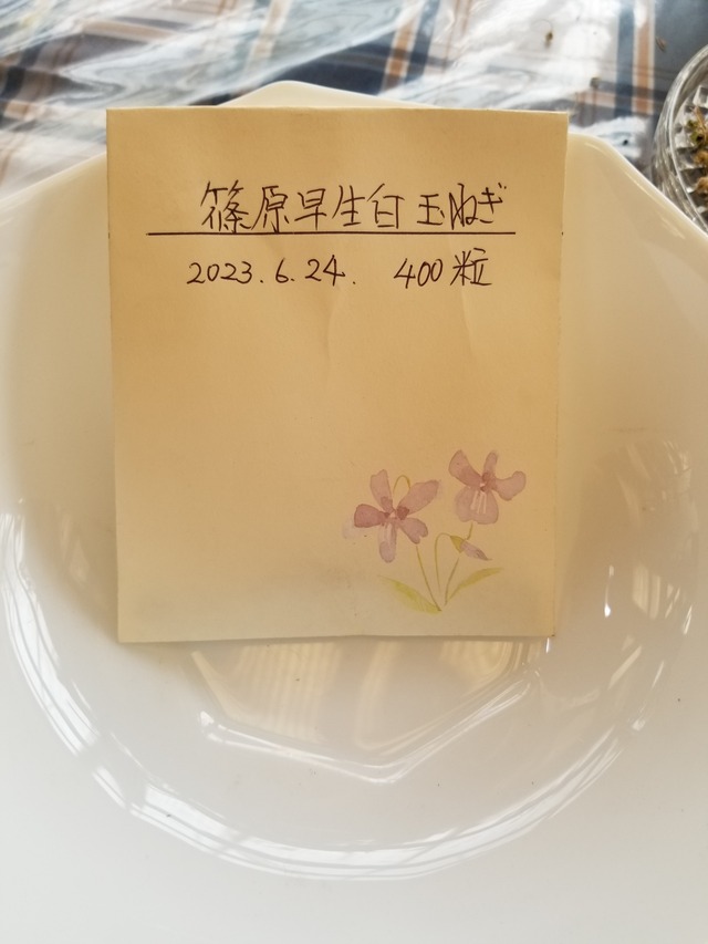 20230624_141446_copy_1512x2016