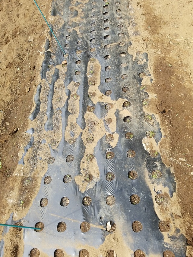 IMG_20230828_135420_copy_1512x2016