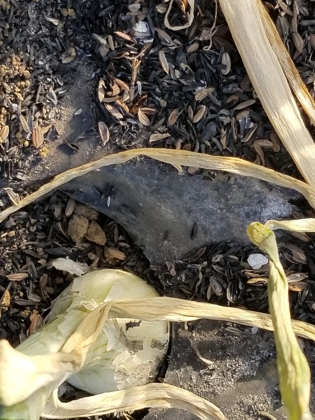 20230110_083647_copy_1512x2016