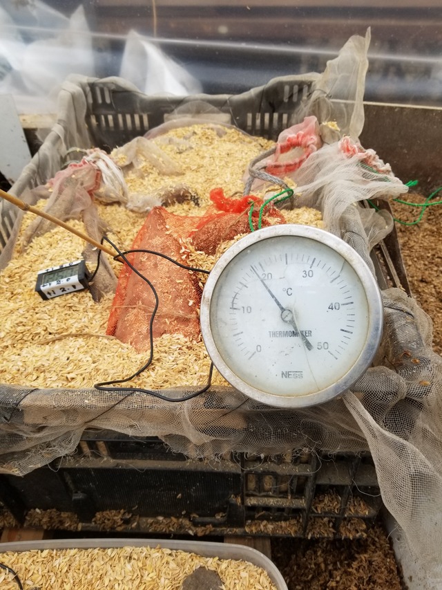 20231228_101254_copy_1512x2016