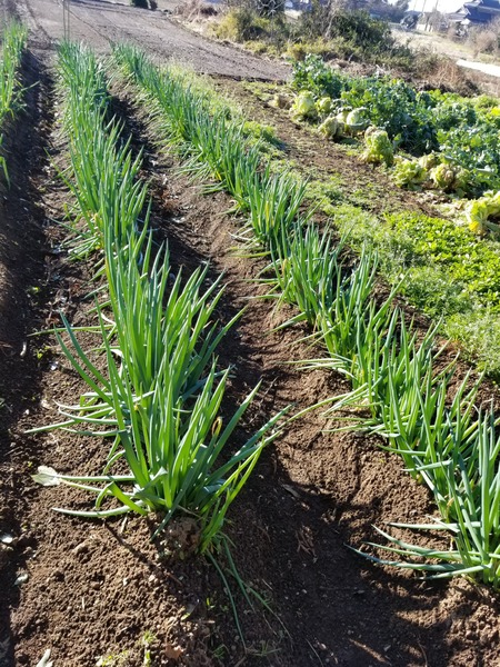 20191229_090940-2268x3024