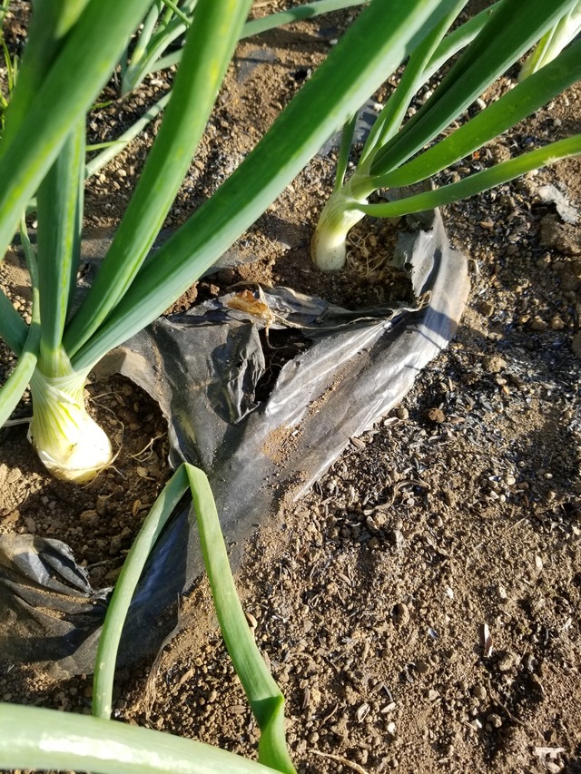 20231210_145645_copy_1512x2016