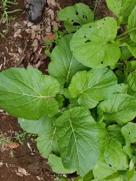 20191007_082953-1620x2160
