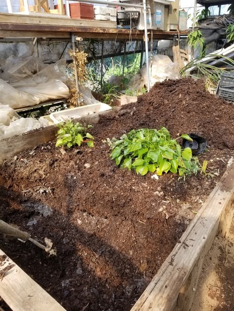 20190508_075929-1620x2160