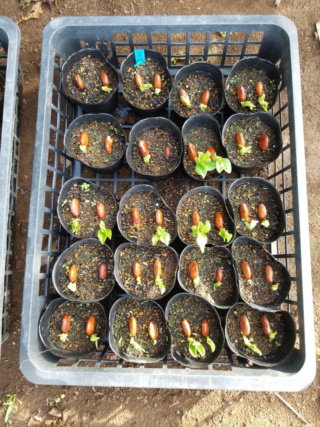 IMG_20231106_083727_DRO_copy_1512x2016