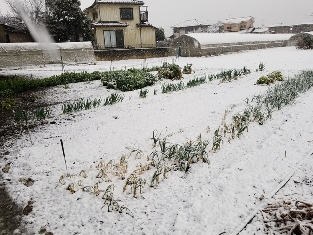 20240308_074322_copy_3024x2268