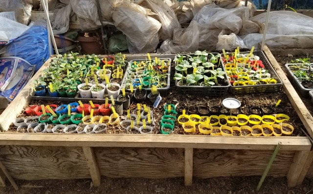 20190413_145819-1600x1200