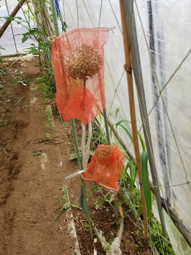 20230615_080223_copy_1512x2016