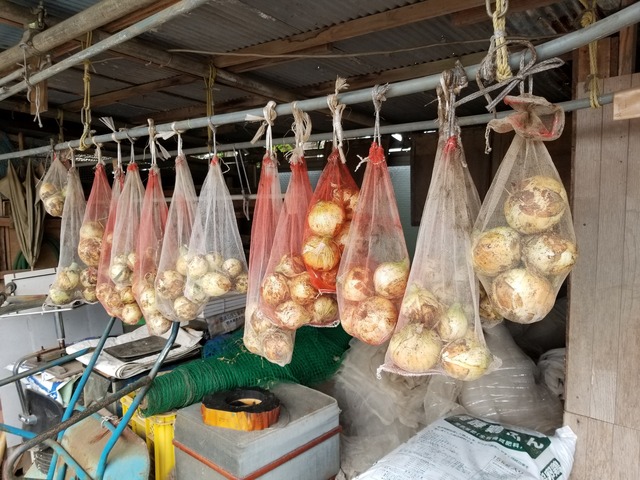 20210425_073622_copy_3024x2268