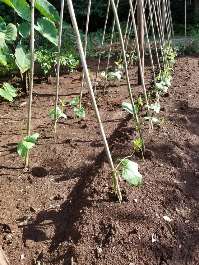 20230802_072736_copy_1512x2016