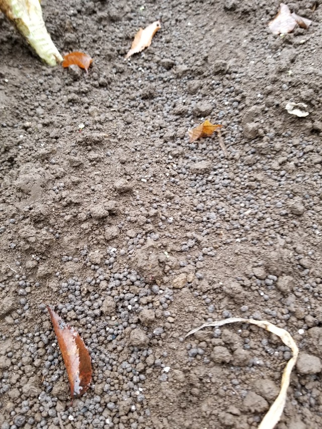 20211013_092638_copy_2268x3024