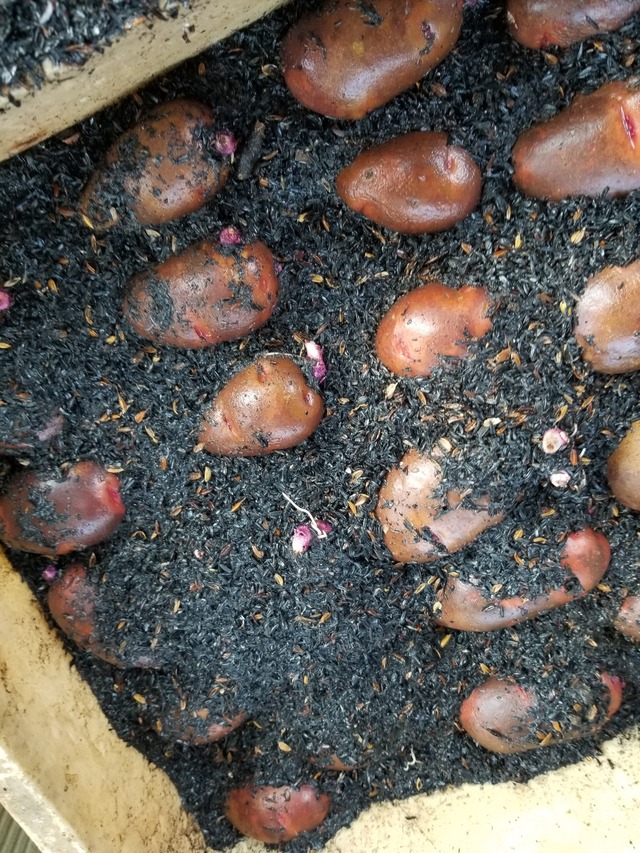 20230820_141548_copy_1512x2016