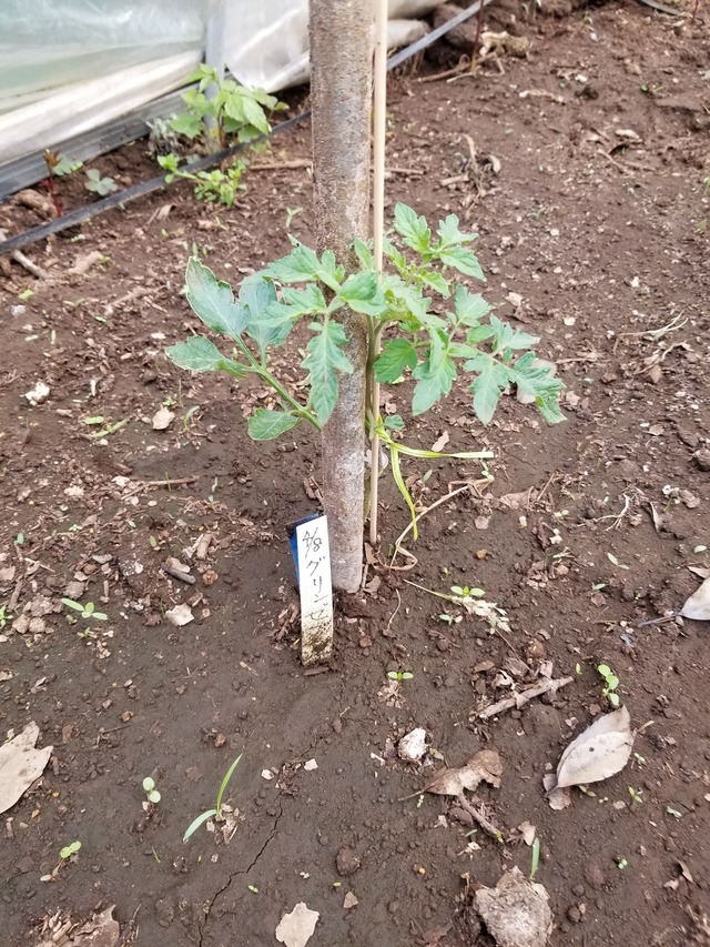 20200508_072405_copy_2268x3024