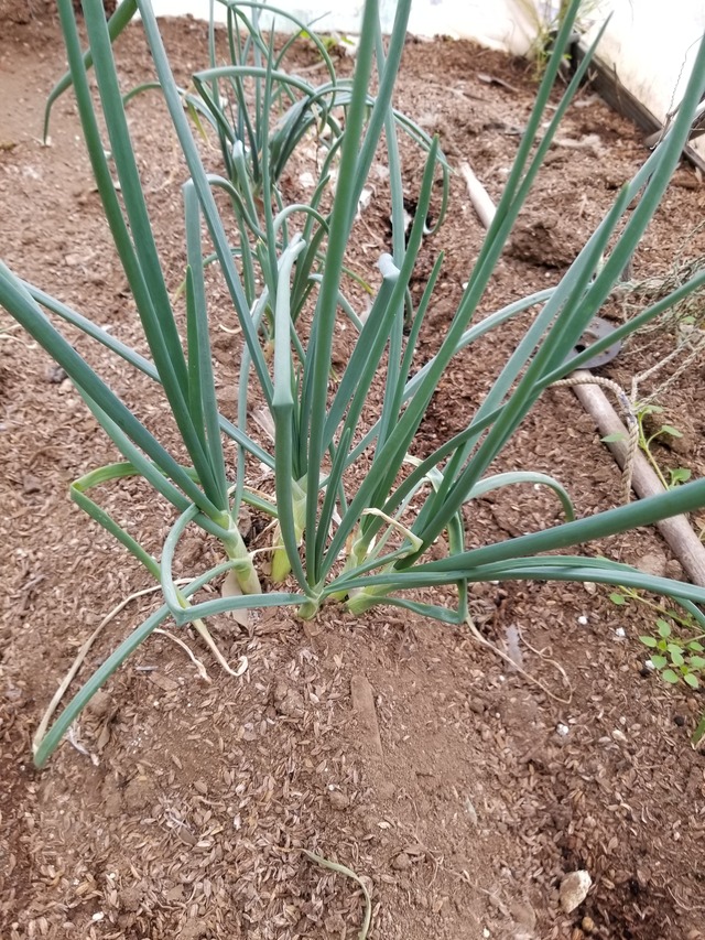 20221206_100811_copy_2268x3024