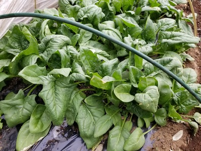 20200214_082020-3024x2268