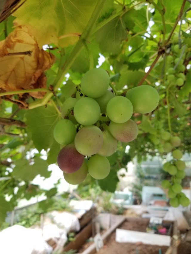 20220711_075724_copy_1512x2016