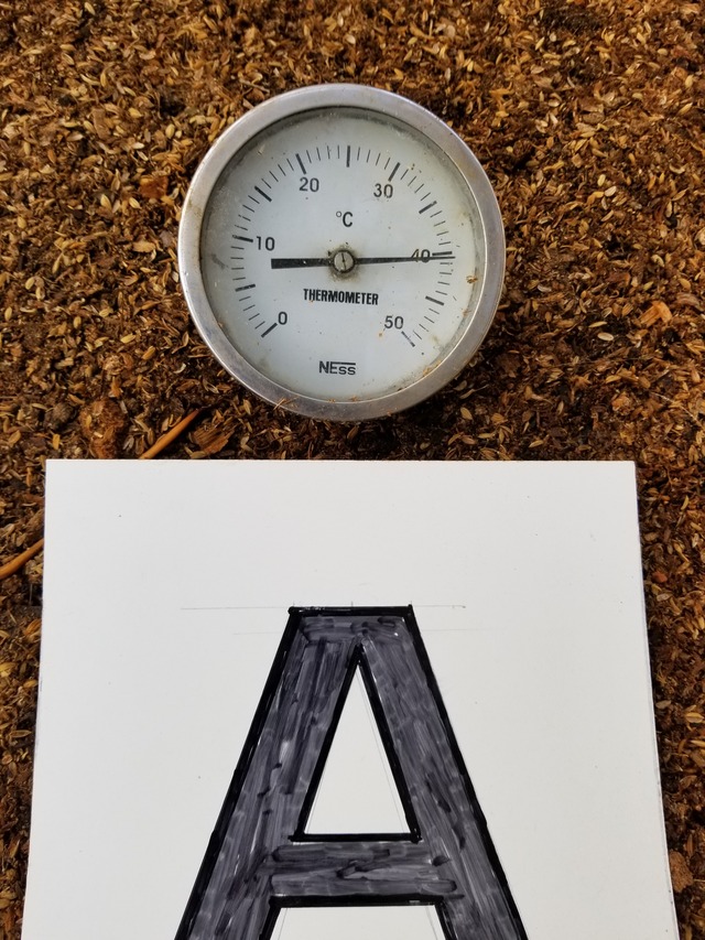 20201117_072455_copy_2268x3024