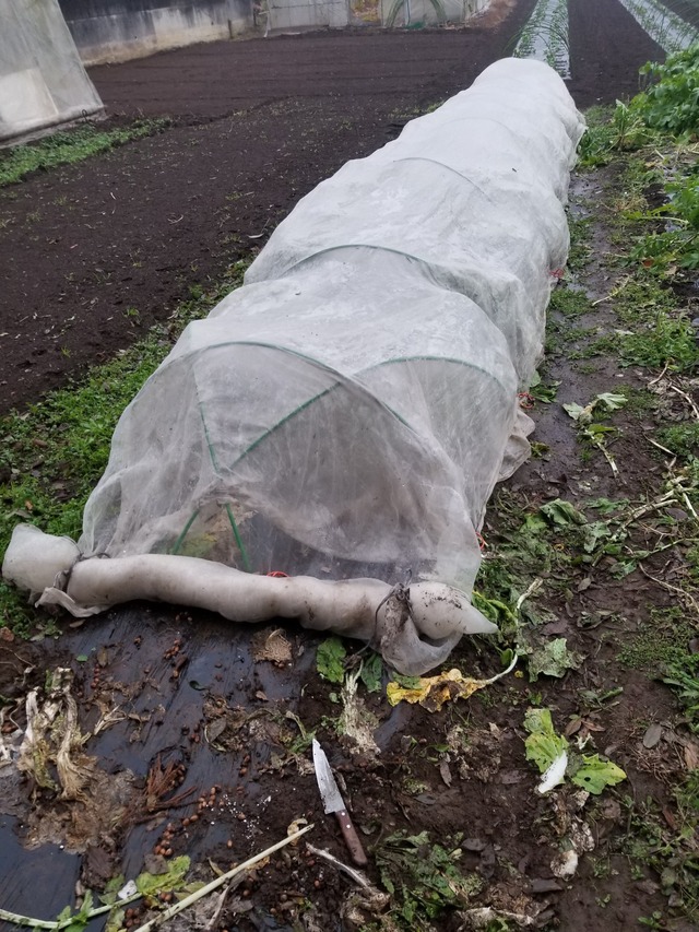 20211217_073544_copy_2268x3024