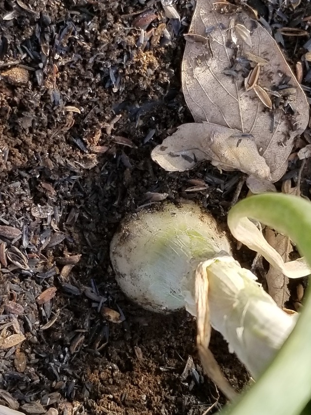 20230110_083745_copy_1512x2016