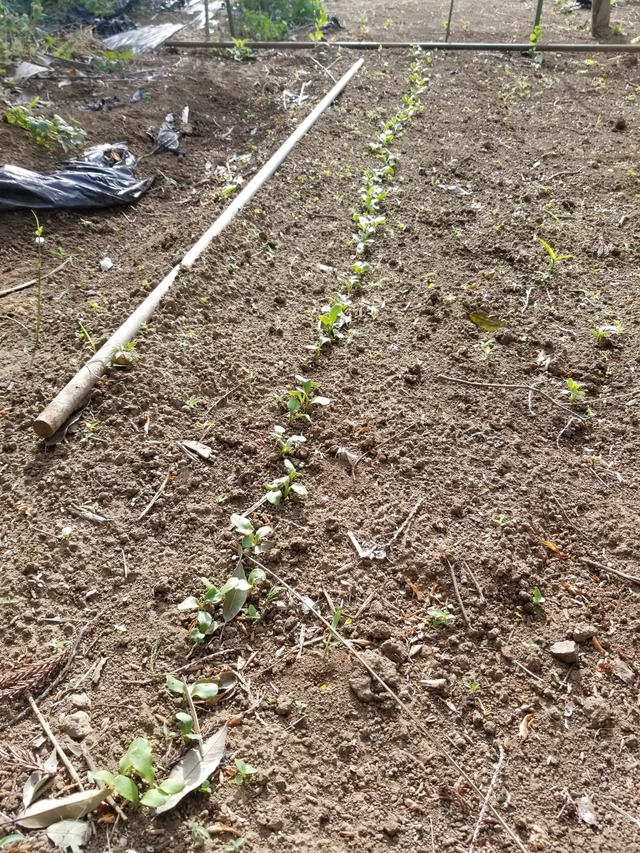 20230414_074738_copy_1512x2016