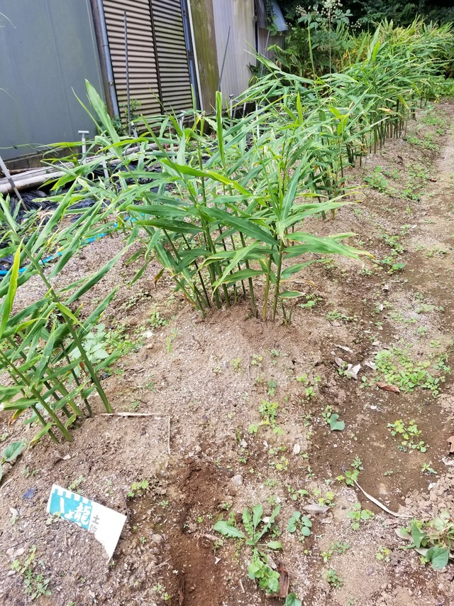 20210925_141101_copy_2268x3024