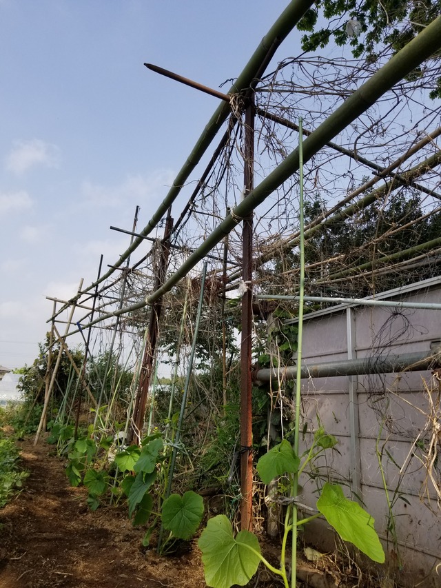 20200513_082035_copy_2268x3024