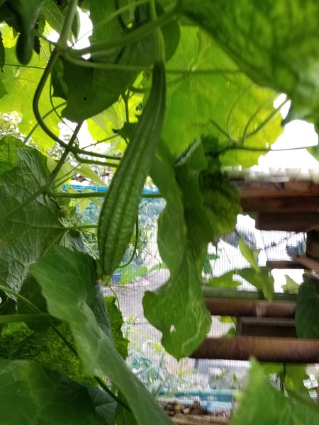 20190904_073359-1620x2160