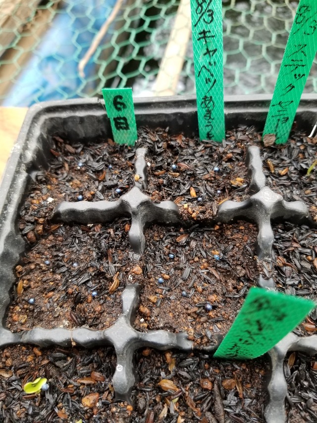 20230806_103013_copy_1512x2016_1