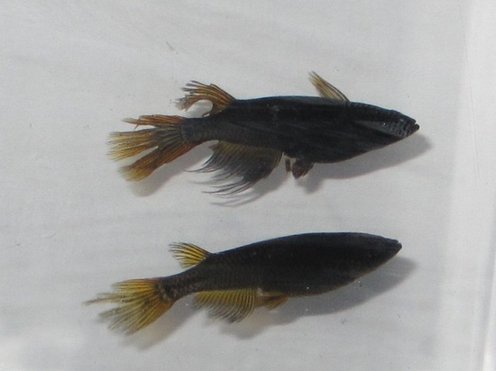 ホーム画面エクスブローラー141