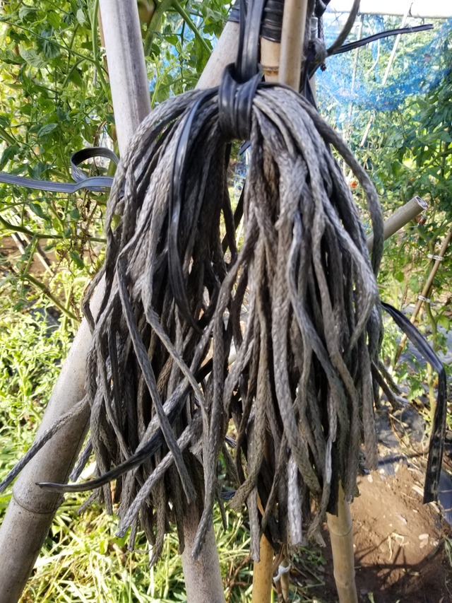20210809_072202_copy_2268x3024