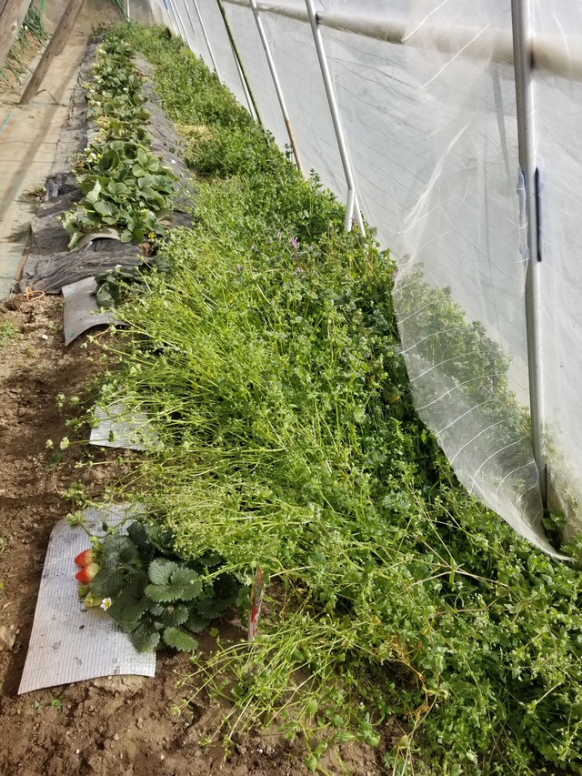 20240218_132434_copy_2268x3024