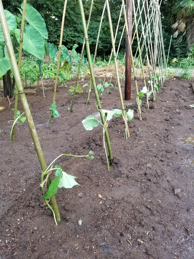 20230731_153354_copy_1512x2016