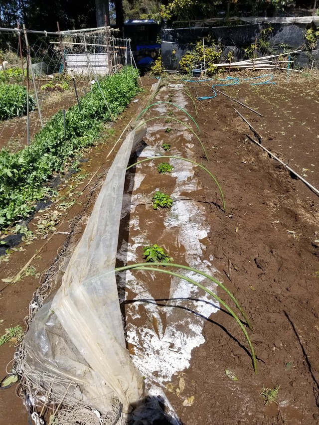 20240327_111447_copy_2268x3024