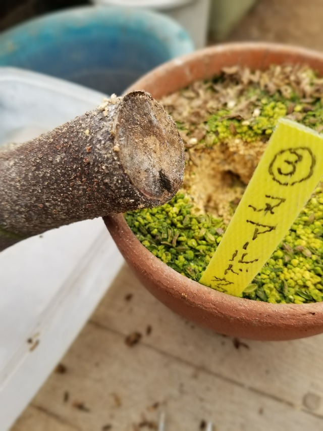 20240326_093048_copy_2268x3024