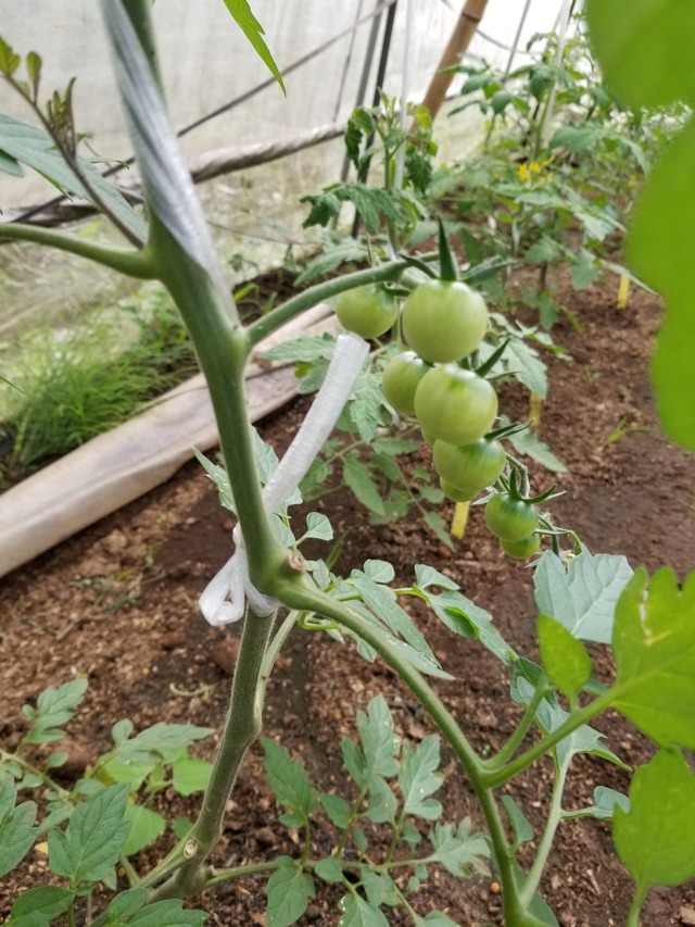 20220523_084734_copy_2268x3024