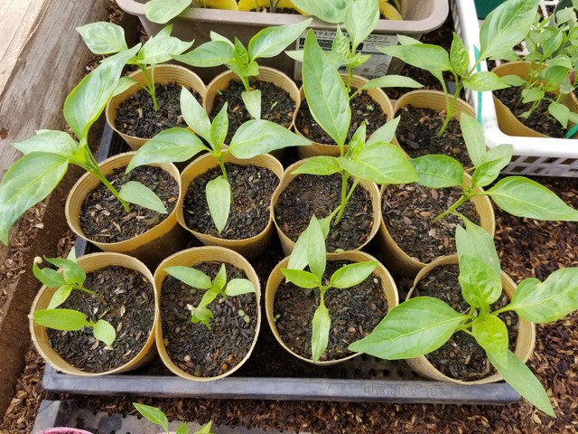 20230331_090601_copy_2016x1512