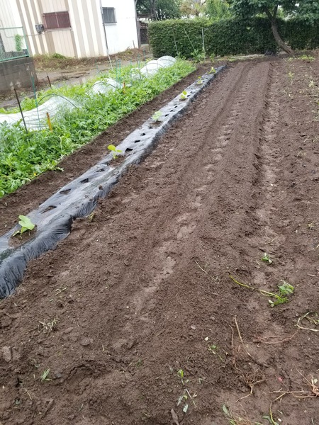 20190706_081951-1620x2160